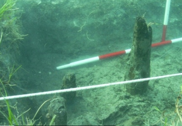 Umag, grad pod morem