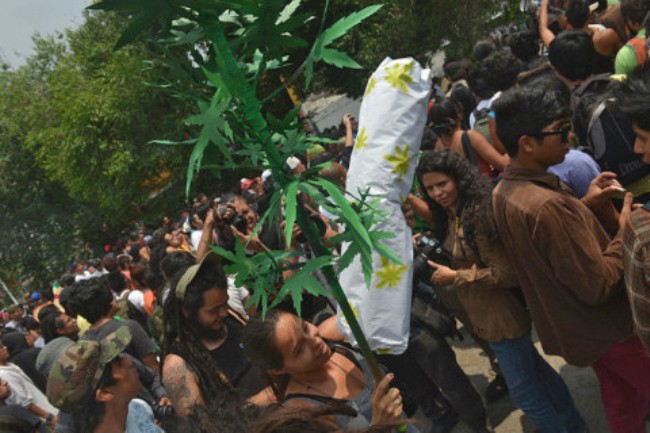 marihuana mar&scaron;