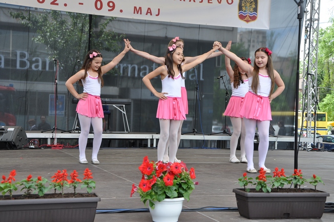 dani opcine centar 2012