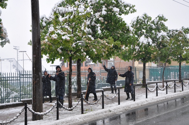 uklanjanje snijega s drveća