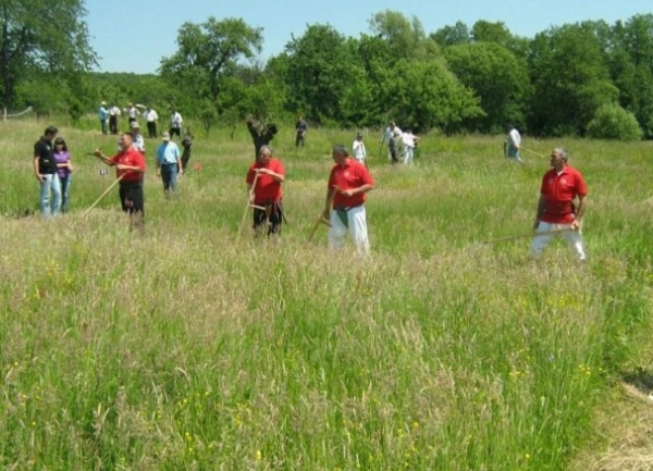 reprezentacija BiH u ko&scaron;enju trave