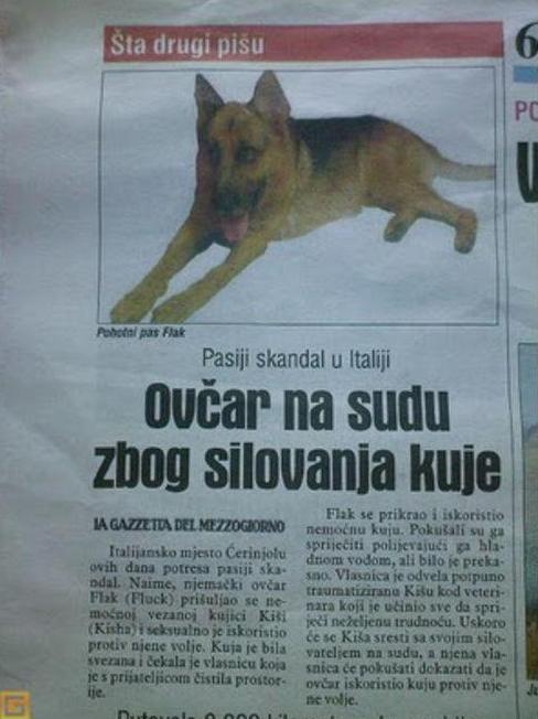 italija_njemački ovčar