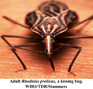 Chagas Disease