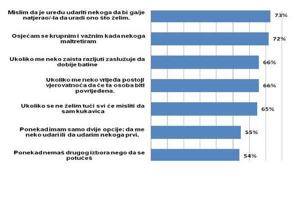 nasilje u općini Novi Grad