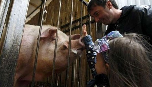 Večeras pobjeđuju &Scaron;panija i Hrvatska