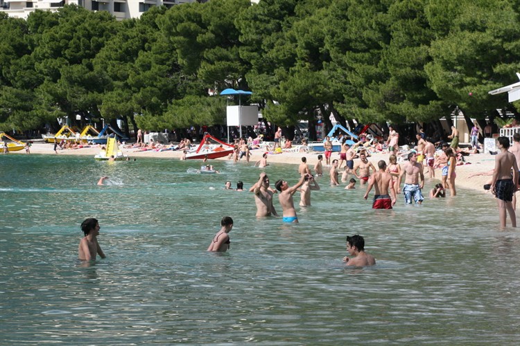 Razuzdana omladina mokri po vratima, vrijeđa muslimane, razbija...