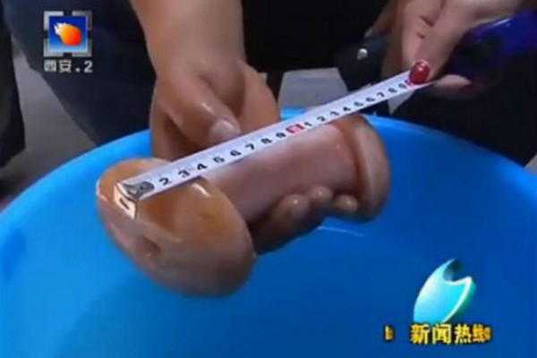 Novinari od umjetne vagine pomislili da je magična glljiva Novinari od umjetne vagine pomislili da je magična glljiva