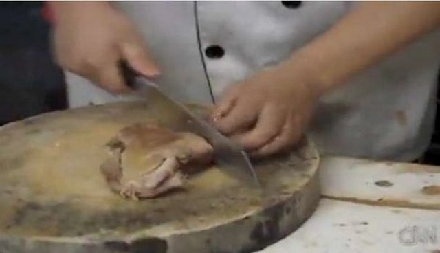 Psi kojima je suđeno da završe u loncu Video Psi kojima je suđeno da završe u loncu Video