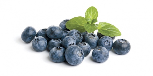 Borovnice čuvari zdravlja Borovnice čuvari zdravlja