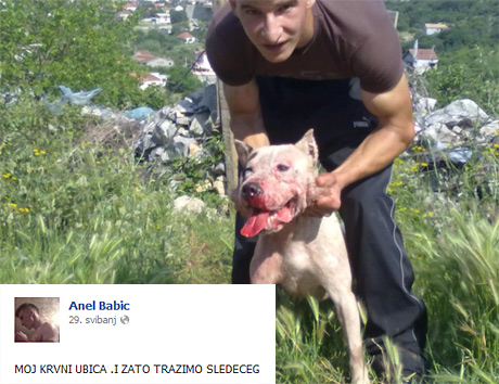 momak iz Podgorice koji muči pse