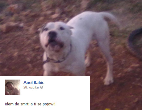 momak iz Podgorice koji muči pse