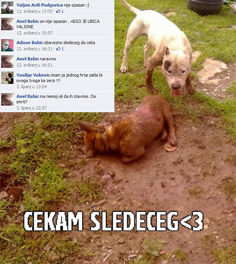 momak iz Podgorice koji muči pse