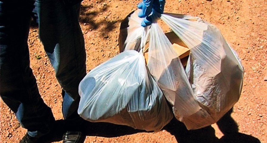 cedomorka1 cedomorka1