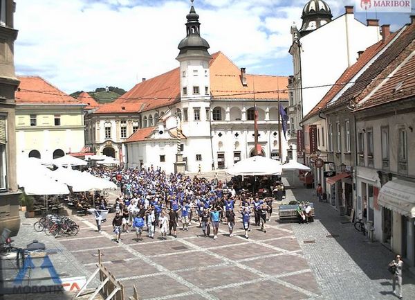 zeljini navijaci maribor zeljini navijaci maribor