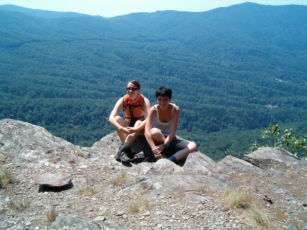 Jastrebac u &scaron;umskom džemperu