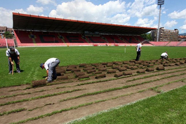 Renoviranje Bilinog polja