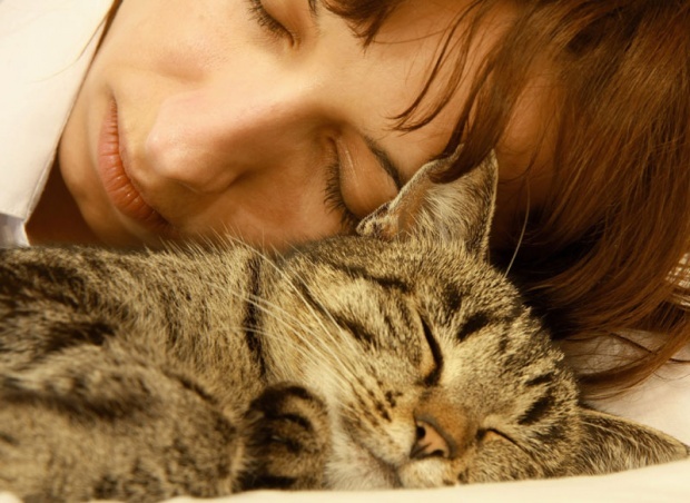 Mačke čuvaju zdravlje