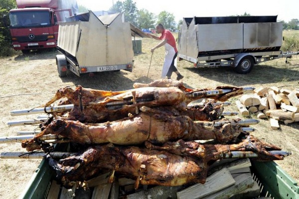 VA&Scaron;AR U ČAVOGLAVAMA