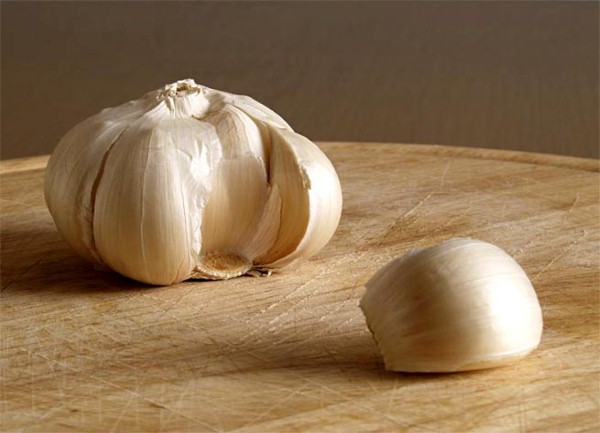 Recepti s bijelim lukom Recepti s bijelim lukom