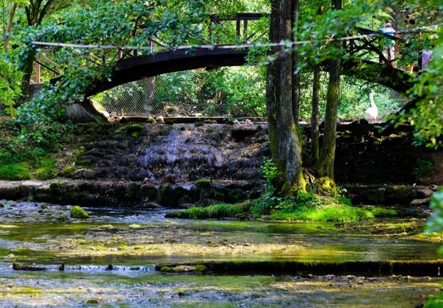 Vrelo Bosne presu&scaron;ilo