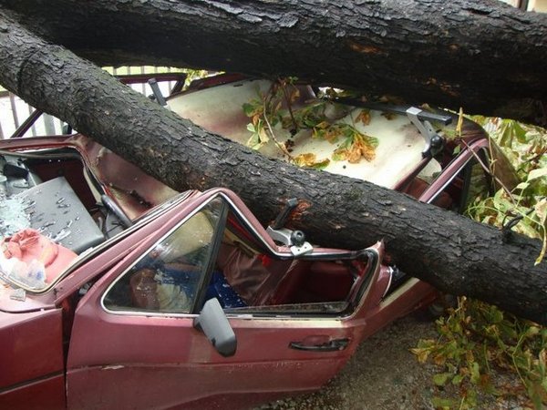 UNISTENI AUTO BIHAC2