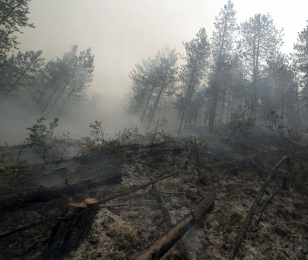 Kritično na Tari Kritično na Tari