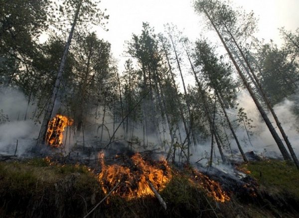 Kritično na Tari Kritično na Tari