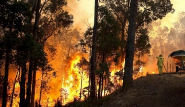 Požari 2012 Požari 2012