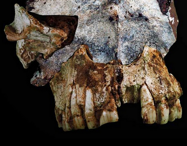 OSTACI MODERNIH LJUDI