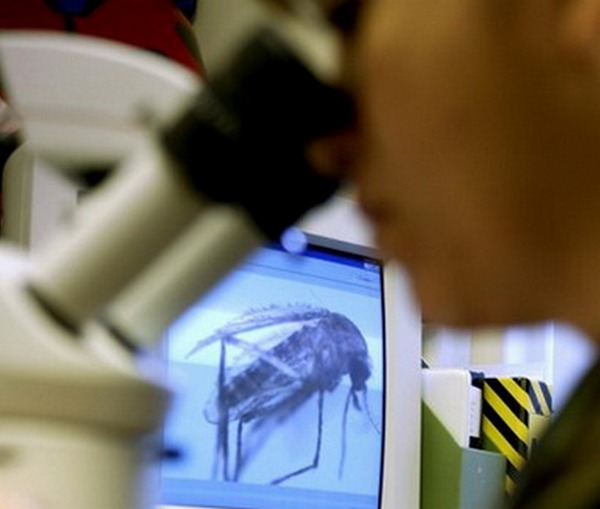 Virus Zapadnog Nila - Srbija