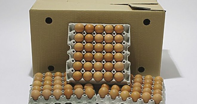 Otrovna jaja stižu iz Evrope: Kako je smrt dječaka razotkrila ključnu vezu širenja salmonele i izazvala uzbunu na tržištu?!