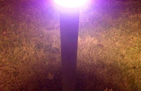 Ljubičaste fotografije s iPhonea 5