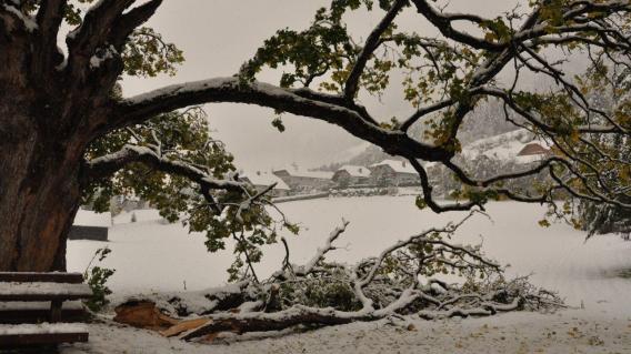 Snijeg u oktobru - Salzburg