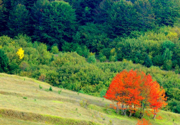 Jesen na Bjela&scaron;nici / Foto: Anadolija