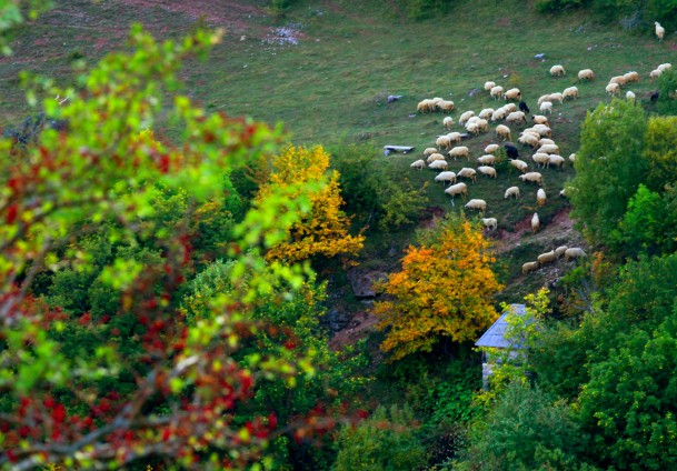 Jesen na Bjela&scaron;nici / Foto: Anadolija