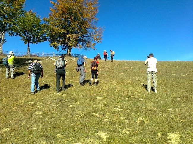 GVOZDAČKE STIJENE, SOKOLINA GVOZDAČKE STIJENE, SOKOLINA