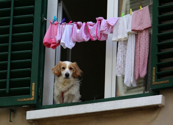 su&scaron;enje ve&scaron;a