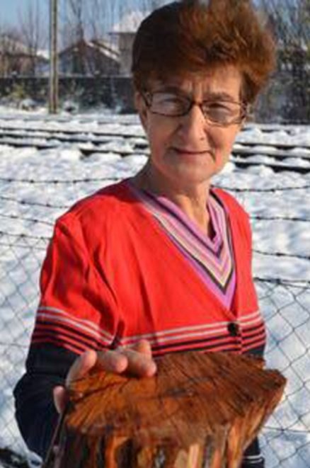 Dunja - brojevi Bihać