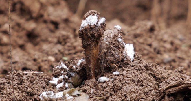Na području općine Berkovići ekshumirani posmrtni ostaci, neki su nagorjeli i ugljenisani