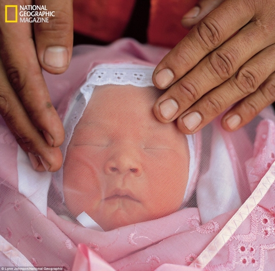 Najbolje fotografije po izboru National Geographica u 2012.