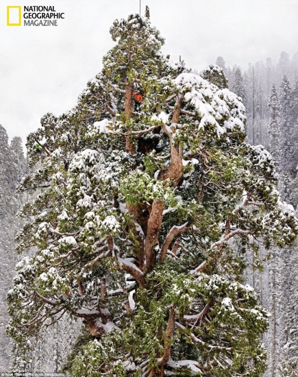 Najbolje fotografije po izboru National Geographica u 2012. Najbolje fotografije po izboru National Geographica u 2012.