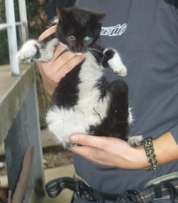 spa&scaron;avanje mačeta