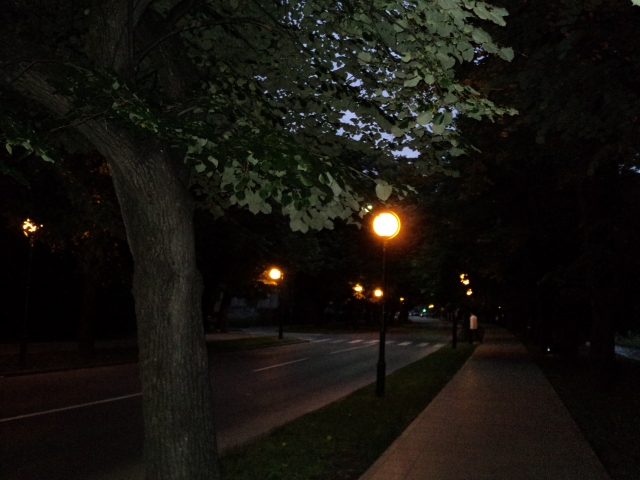 Vilsonovo &scaron;etali&scaron;te u mraku 