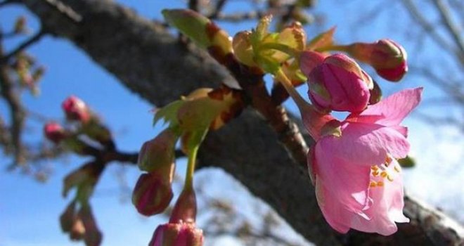 Grijalo nas je proljetno sunce, ali stiže promjena vremena: Evo šta donosi prognoza za BiH