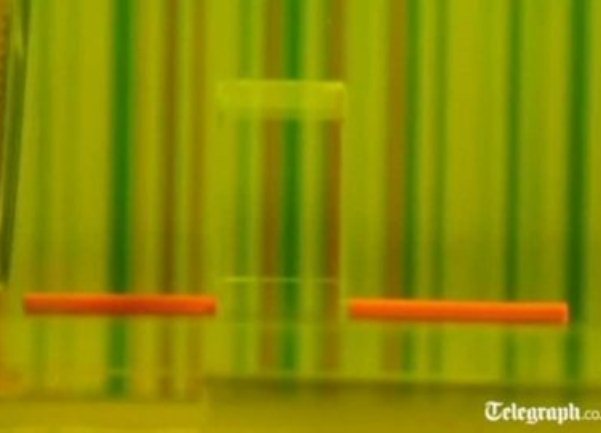 nevidljivi ogrtac tehnologija nevidljivi ogrtac tehnologija