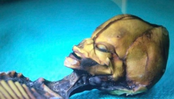 humanoid Ata humanoid Ata