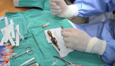 humanoid Ata humanoid Ata