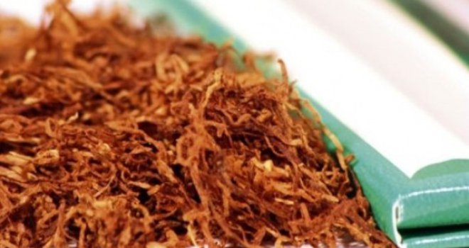 Pušenje smotanog duhana je manje štetno? Evo šta kažu stručnjaci