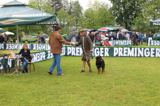 Izložba pasa u Bihaću Izložba pasa u Bihaću
