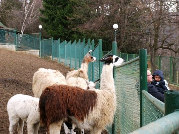 Pionirska dolina Pionirska dolina